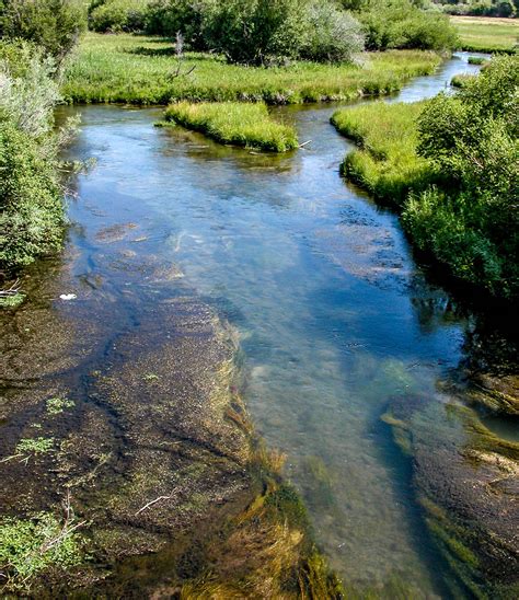 By definition, a <b>creek</b> is a natural <b>stream</b> of water, normally smaller than, and often tributary to a river. . Creeks and streams near me